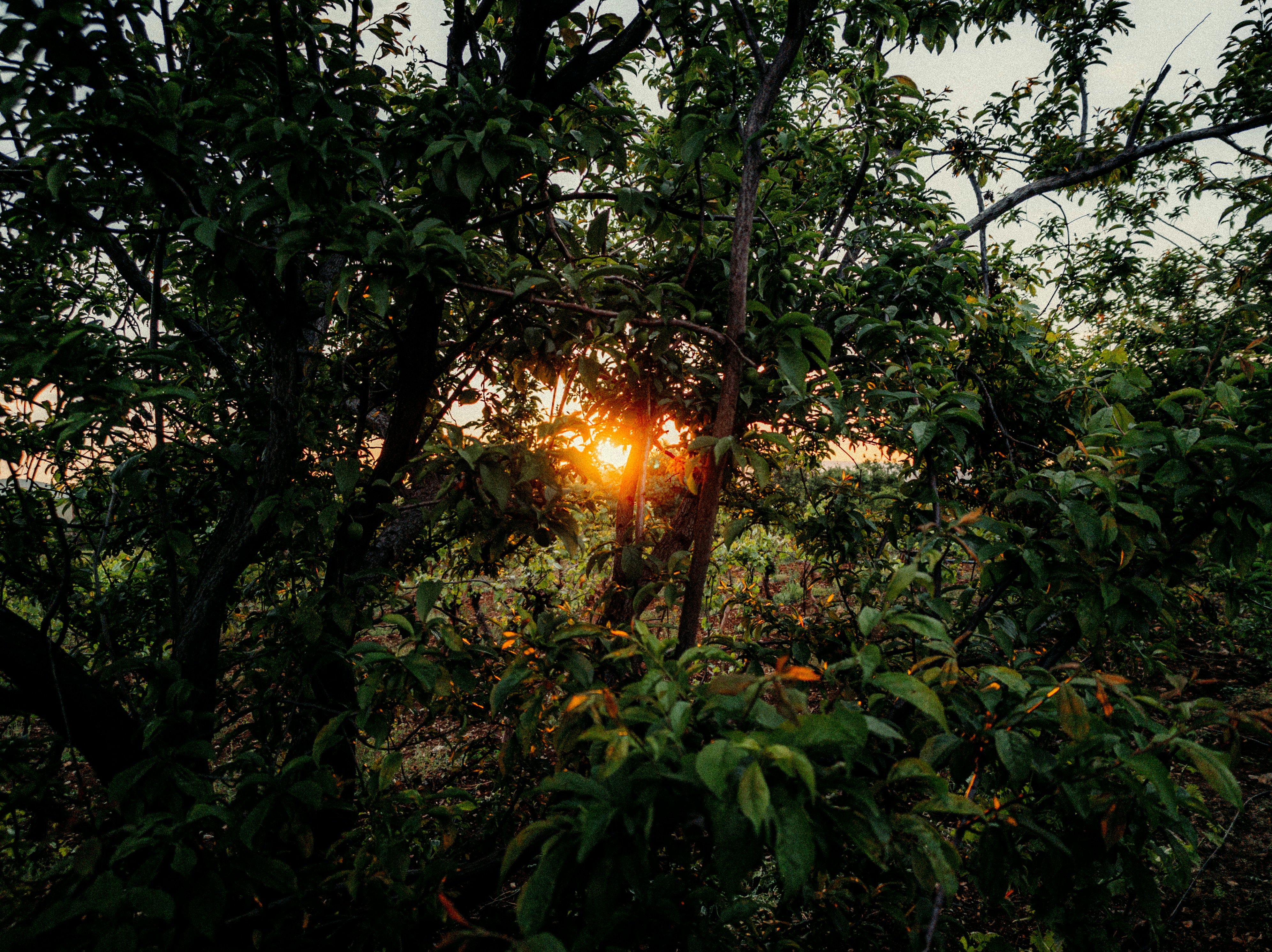 Photo by visualzheer