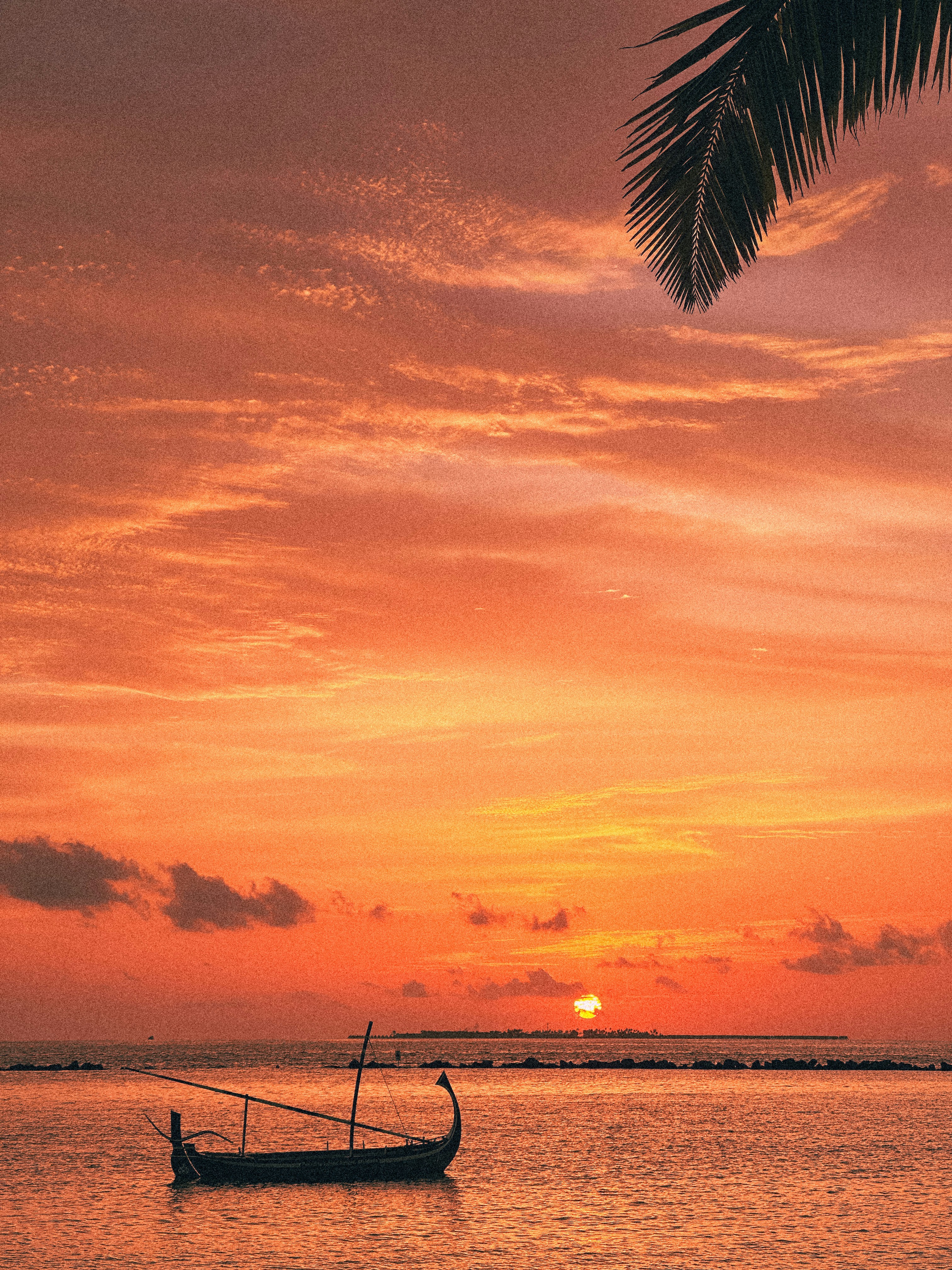 Photo by mohamed_lammah