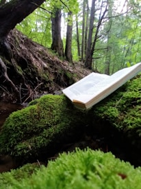 An open book resting on a moss-covered rock amid lush greenery.
