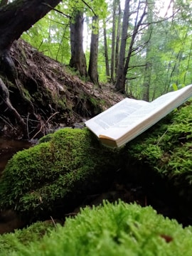 Open book resting on moss with wildflowers nearby.
