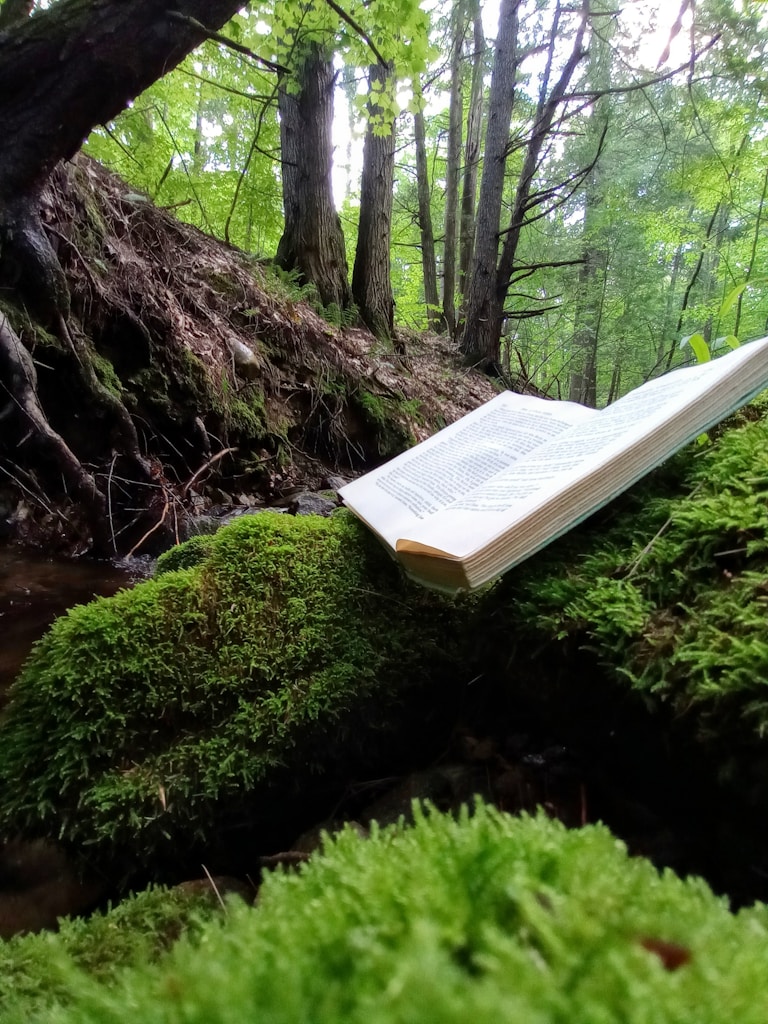 El bosque que recuerda