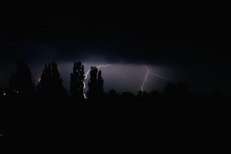 A dark, night sky is illuminated by a bright lightning bolt. Tall trees in silhouette are visible against the dramatic backdrop. The atmosphere feels intense and charged, suggesting a stormy scene.