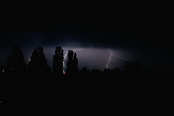 A dark, night sky is illuminated by a bright lightning bolt. Tall trees in silhouette are visible against the dramatic backdrop. The atmosphere feels intense and charged, suggesting a stormy scene.
