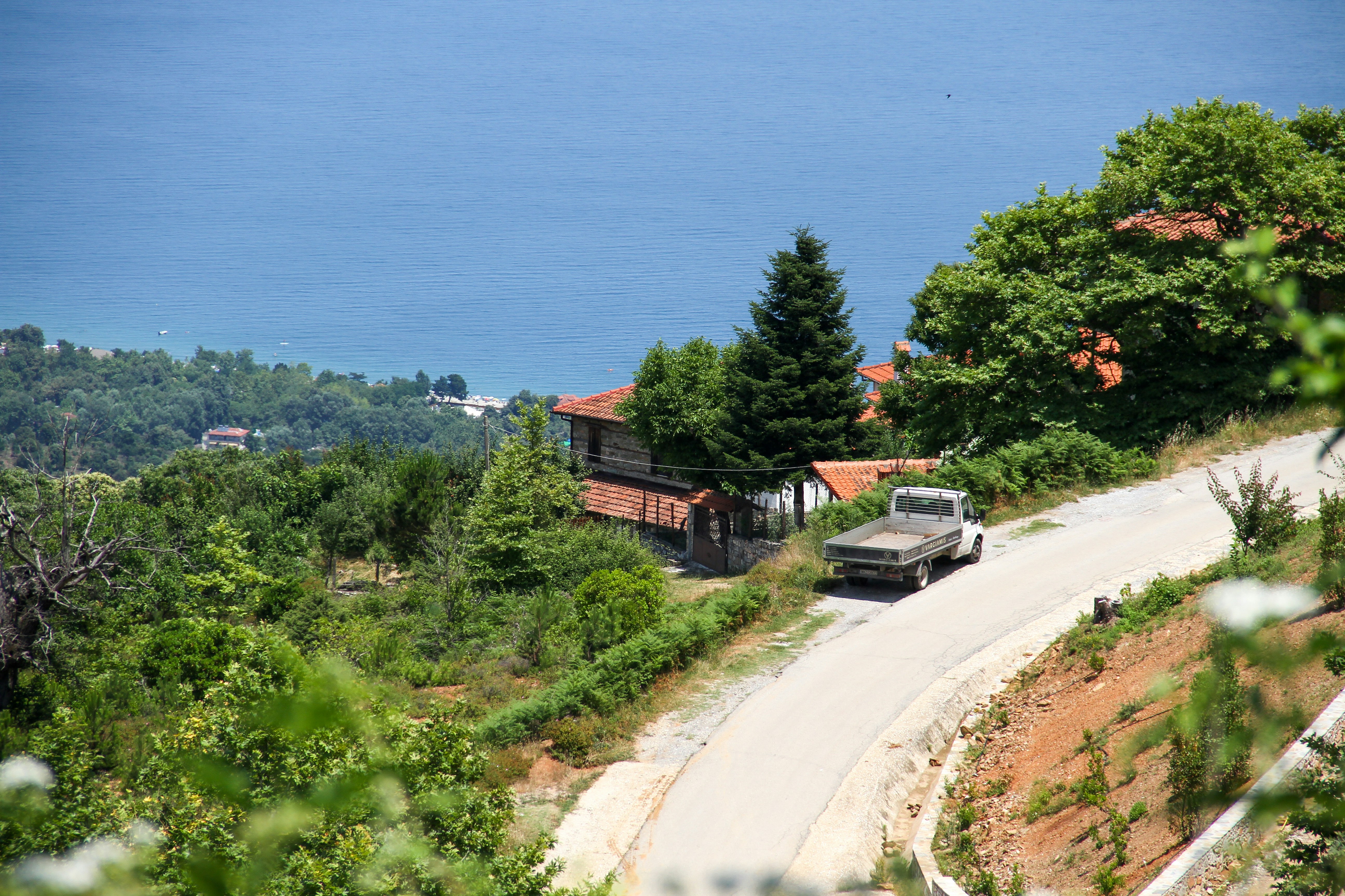 a truck driving down a road next to a forest