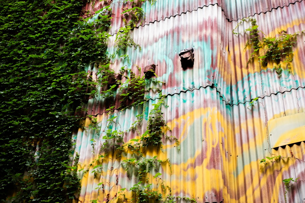 a building covered in vines and vines growing up the side of it