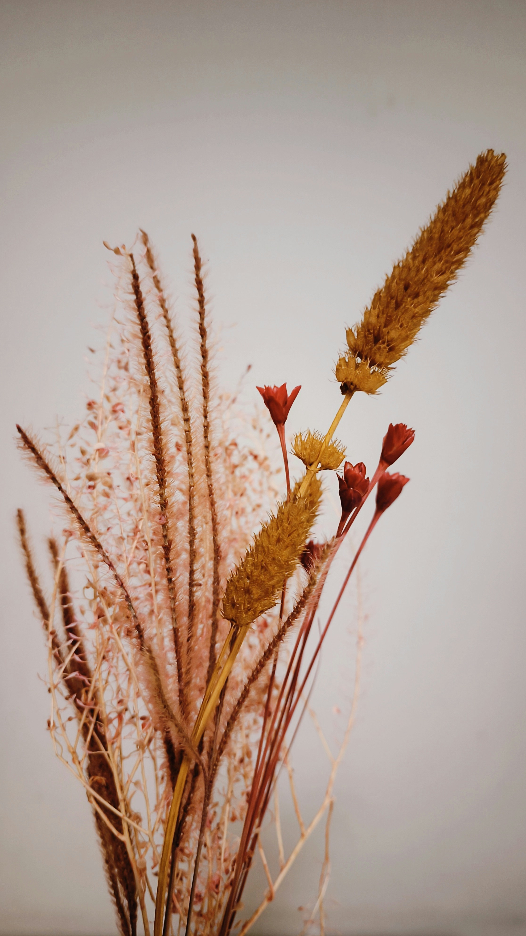 Photo by dienyportinanni