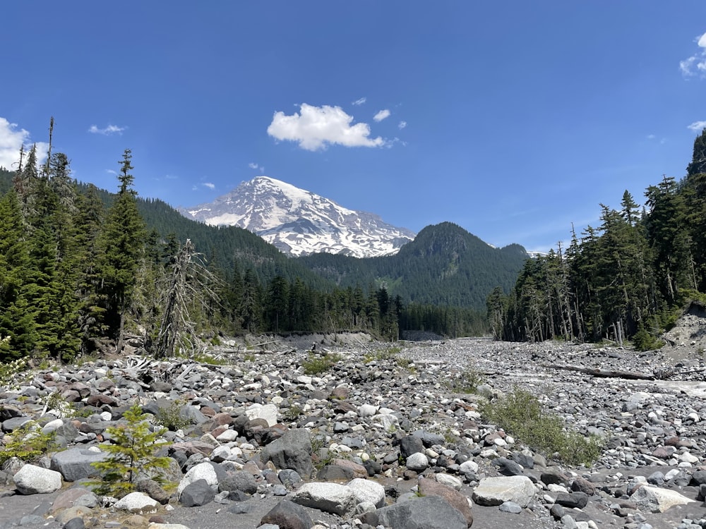 a rocky river with a mountain in the background