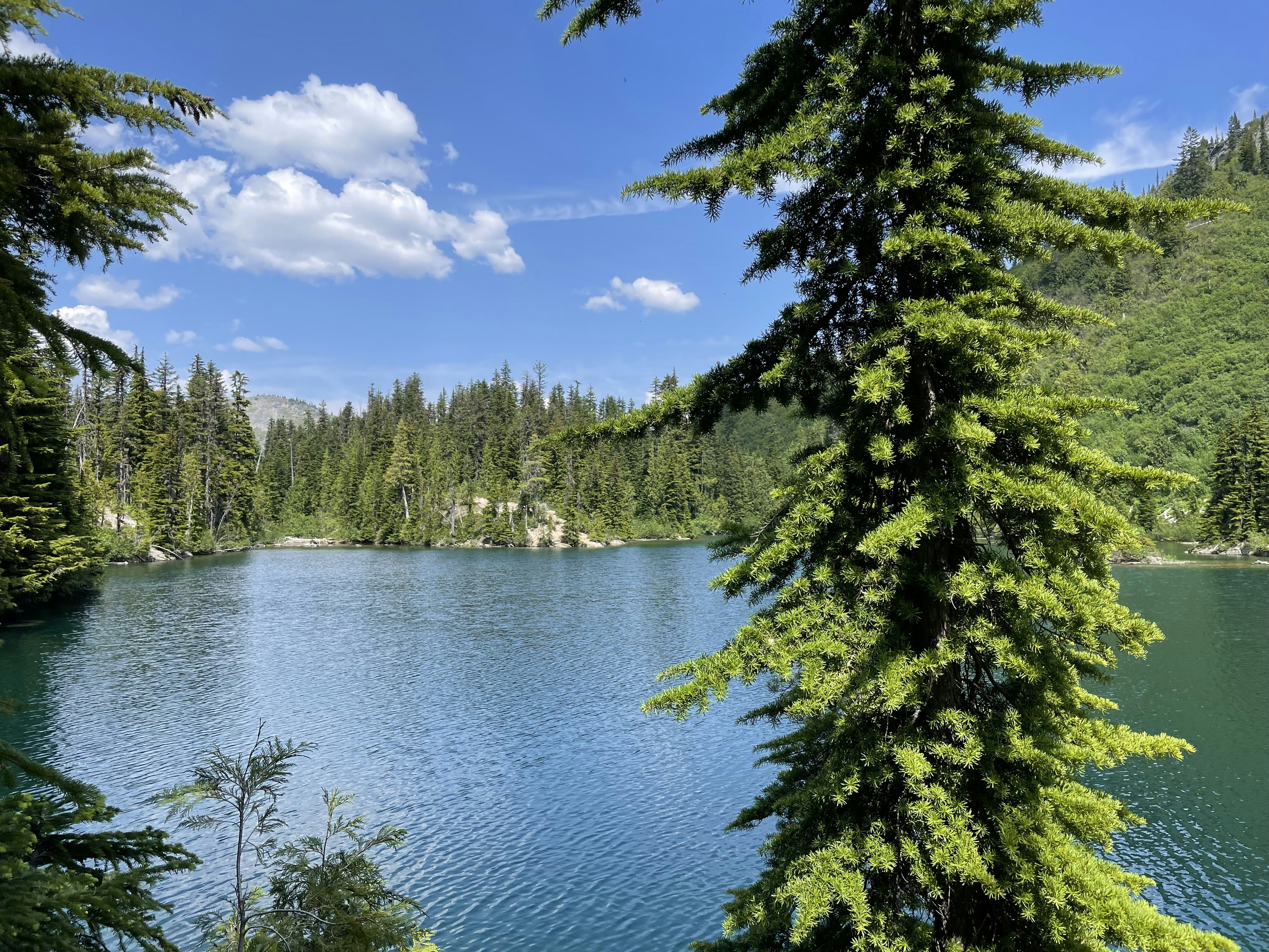 Photo by anormalname