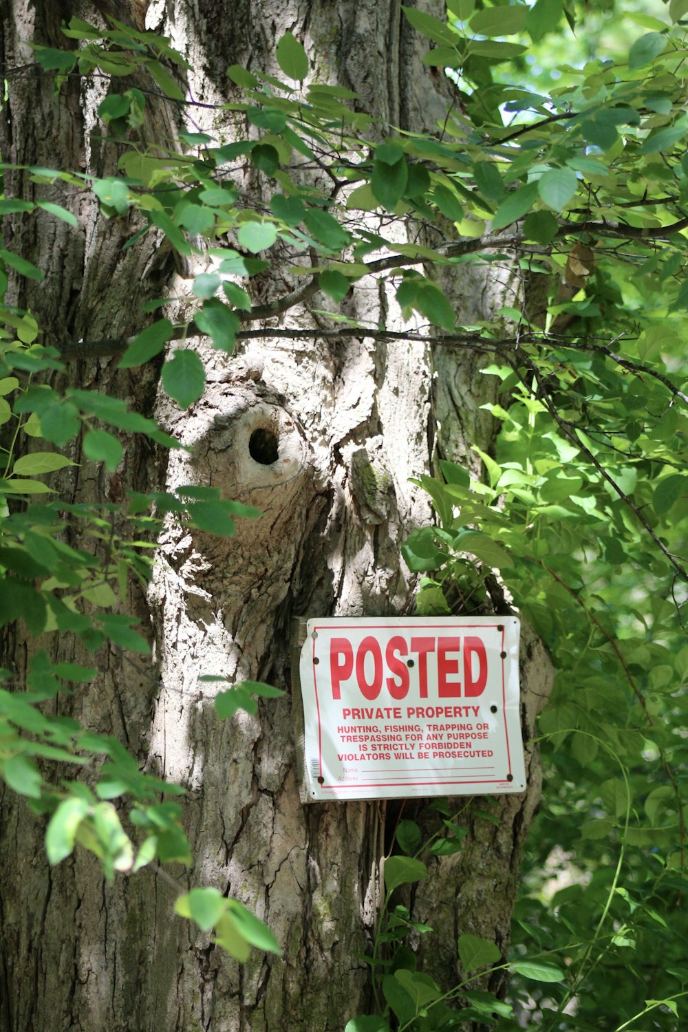 a sign posted on a tree in the woods