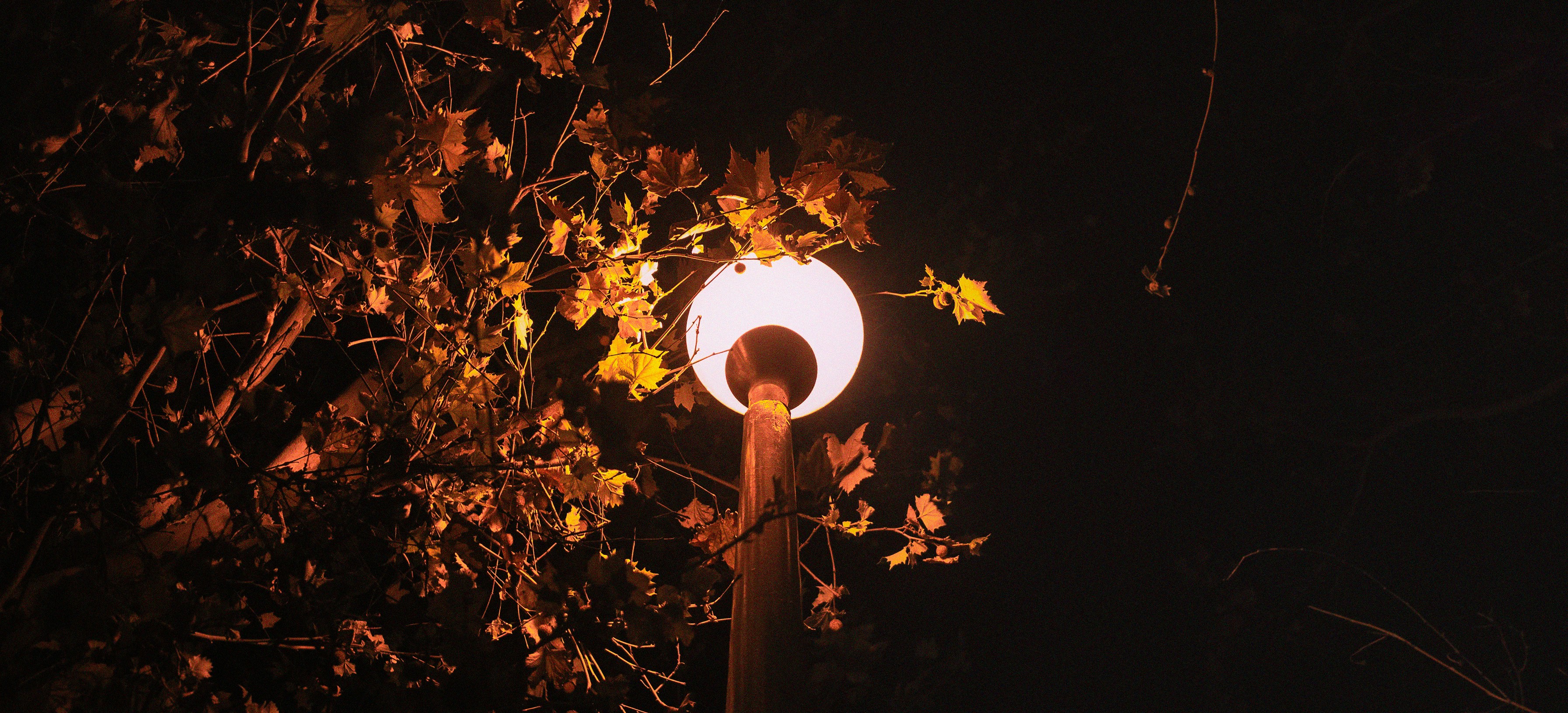 a street light is lit up in the dark