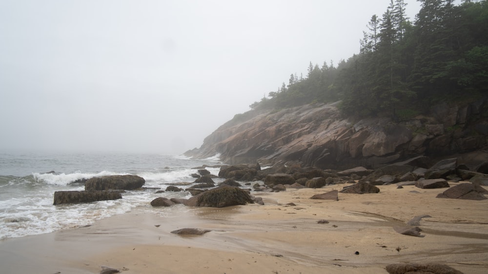 a sandy beach with rocks and trees on a foggy day