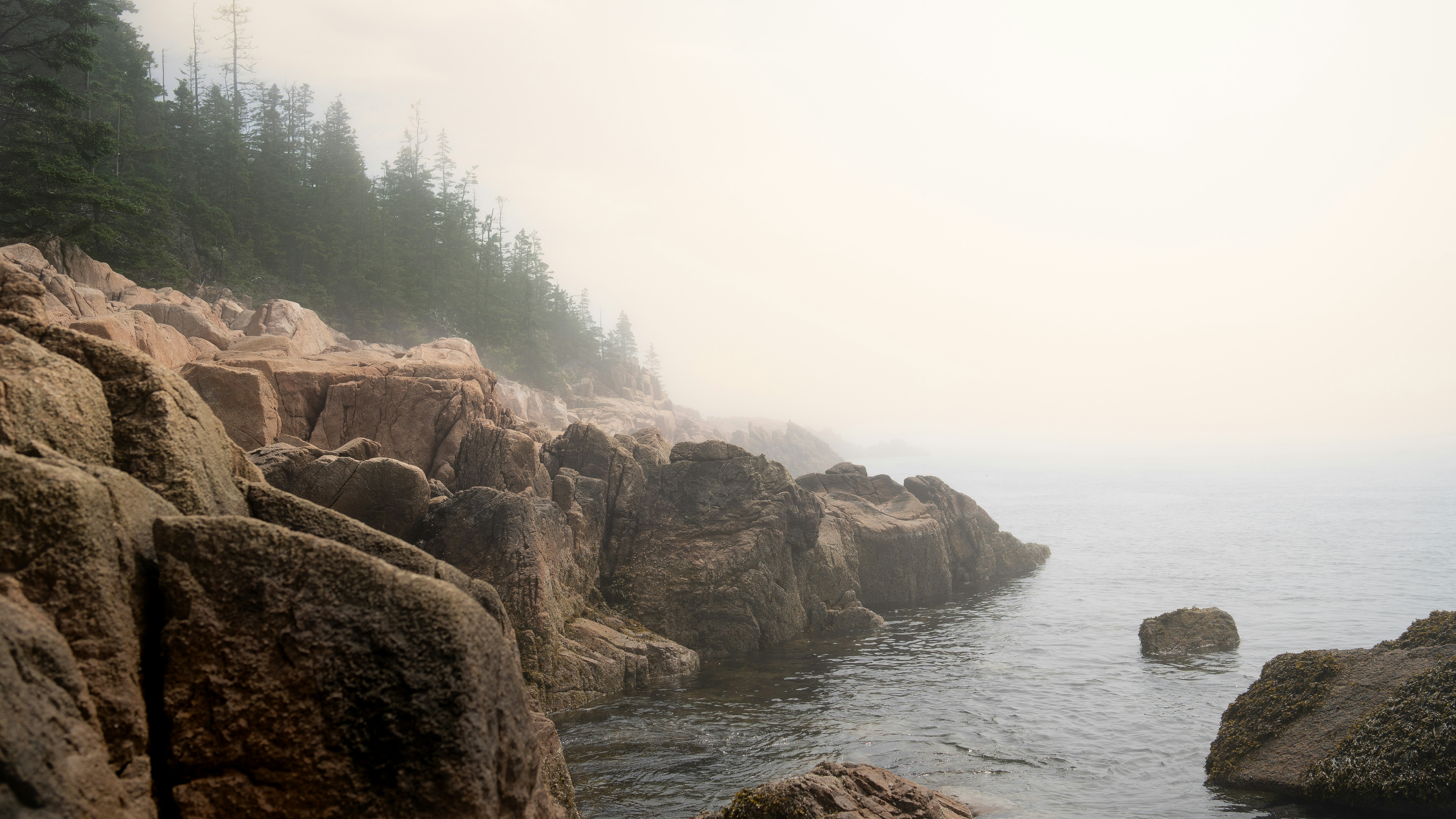 Photo by beadisruptur