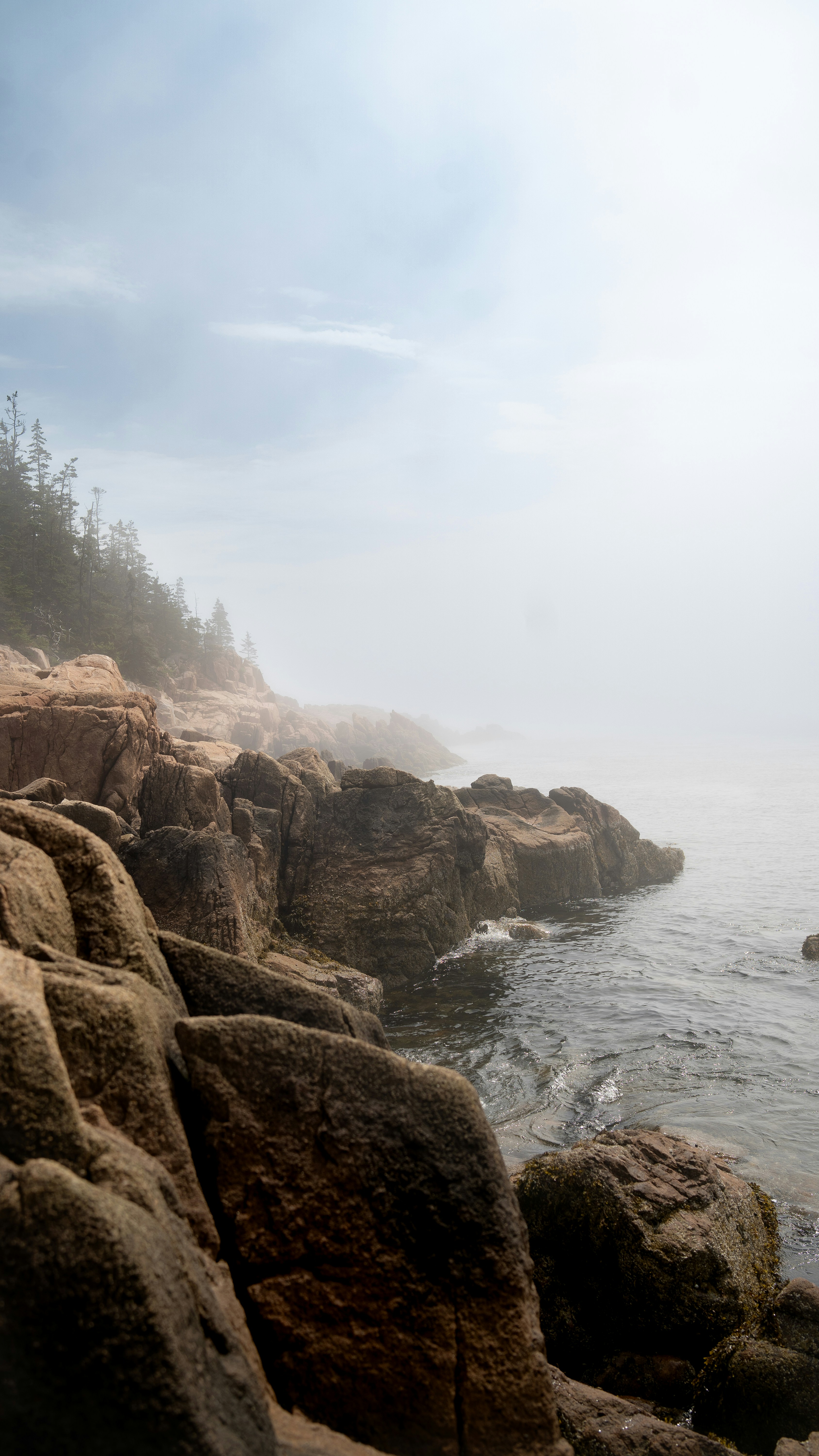 Photo by beadisruptur