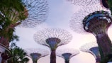 Rising vertical structures with intricate, web-like designs stand against a soft, pastel sky. These large, artificial trees are part of a futuristic garden setting. Greenery and plants climb and drape around the bases of the structures.