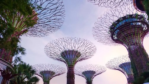 Rising vertical structures with intricate, web-like designs stand against a soft, pastel sky. These large, artificial trees are part of a futuristic garden setting. Greenery and plants climb and drape around the bases of the structures.