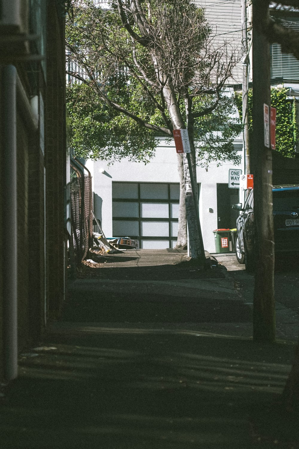 a street with a tree and a car parked on the side of the road