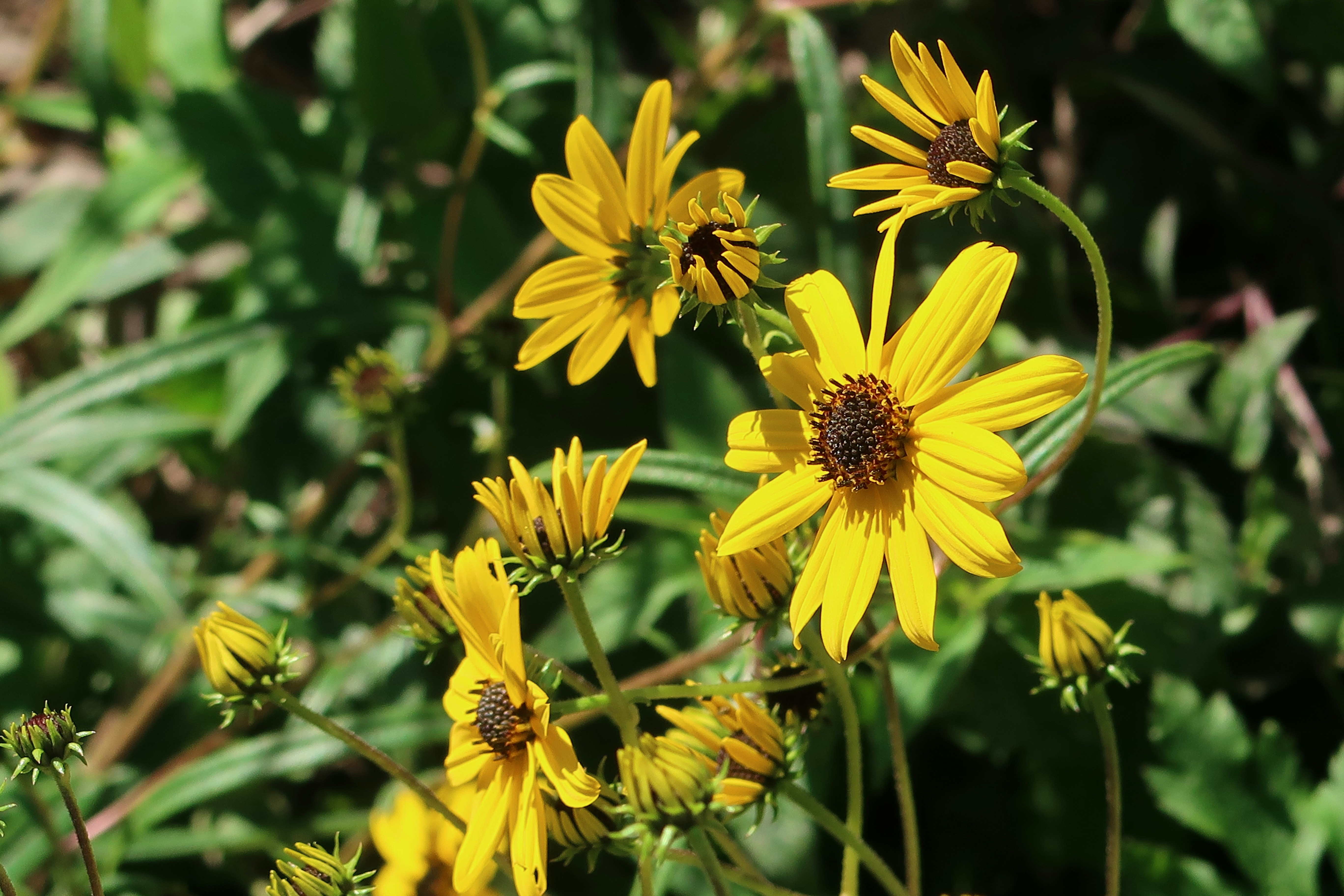 Photo by maxinesviews