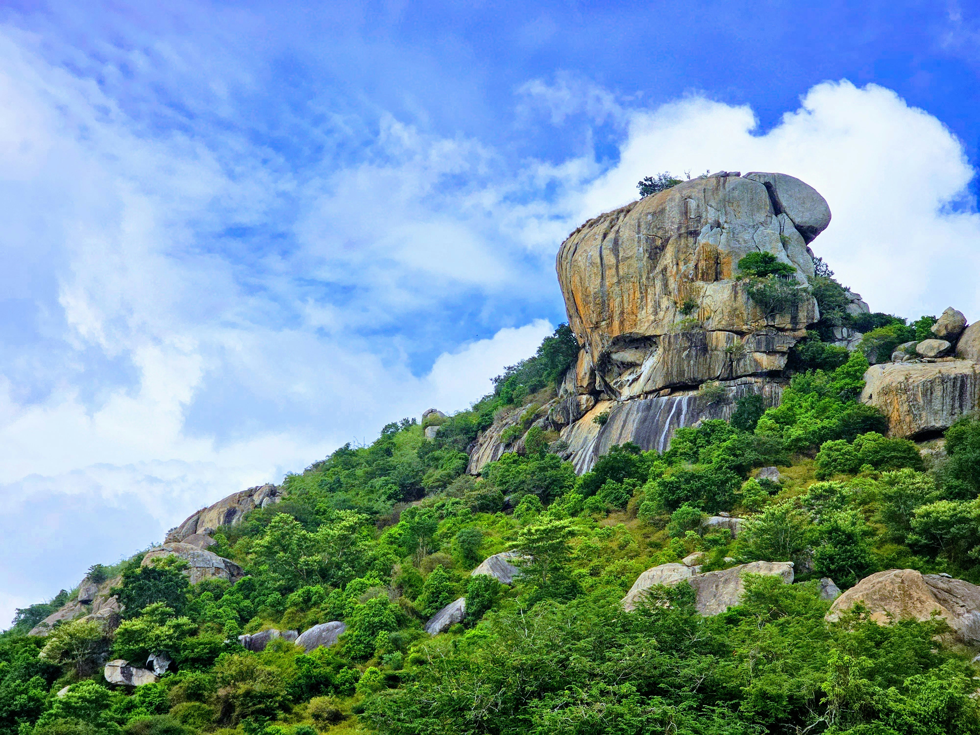 Photo by themadtitan797