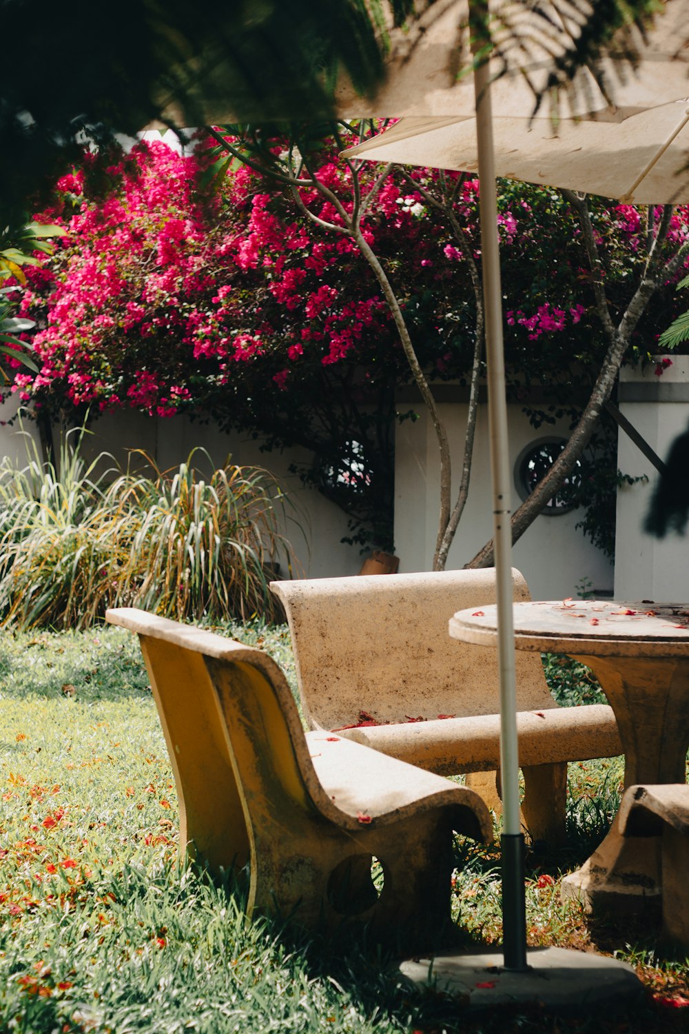 a wooden bench sitting under an umbrella in the grass