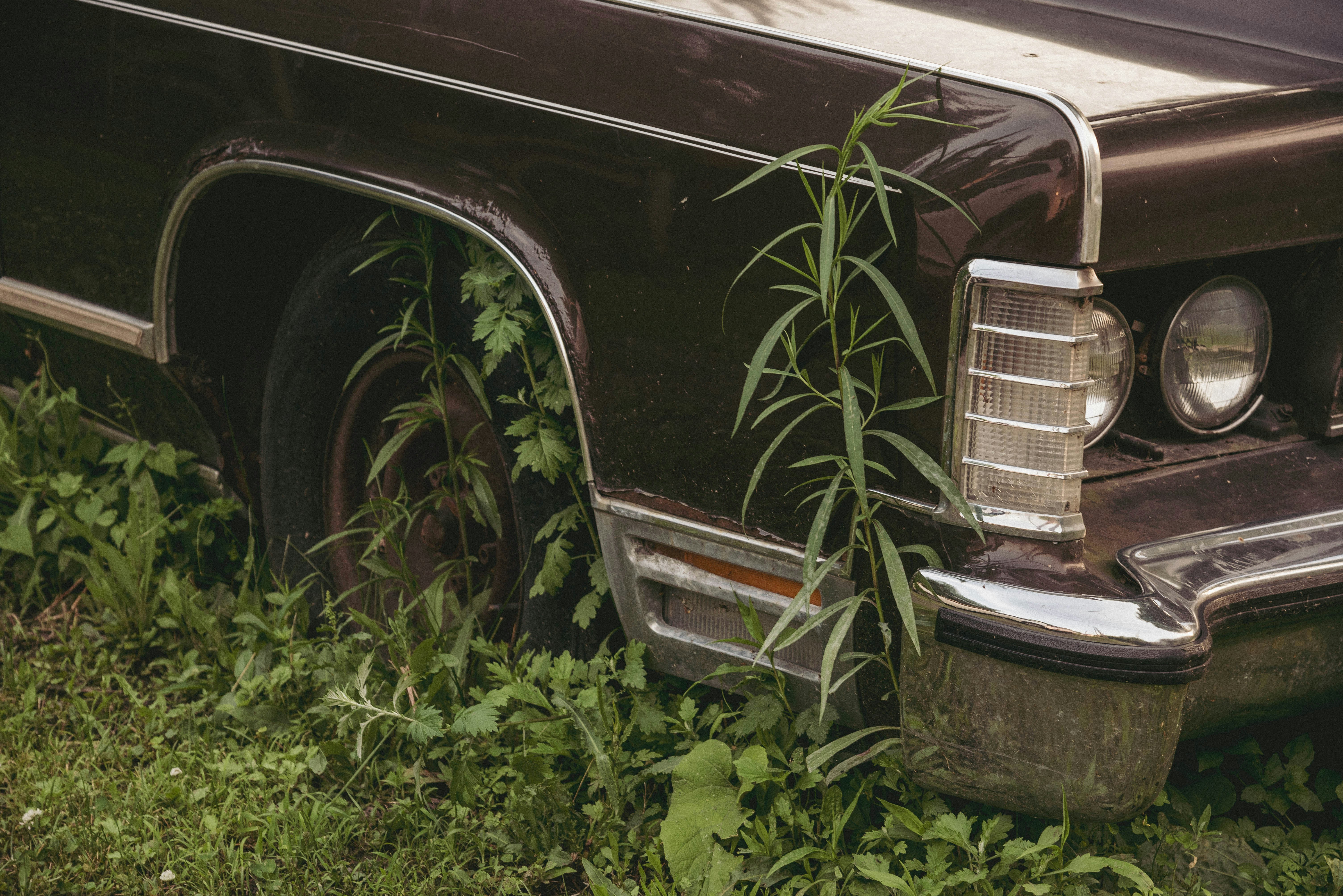 a close up of a  scrap car parked in the bush