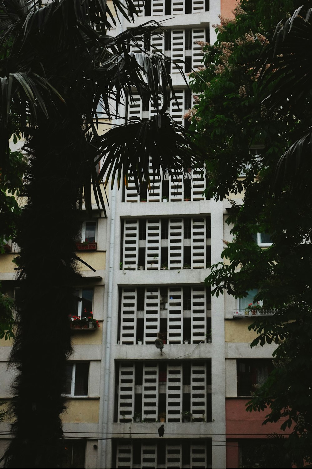 a tall building with lots of windows next to trees