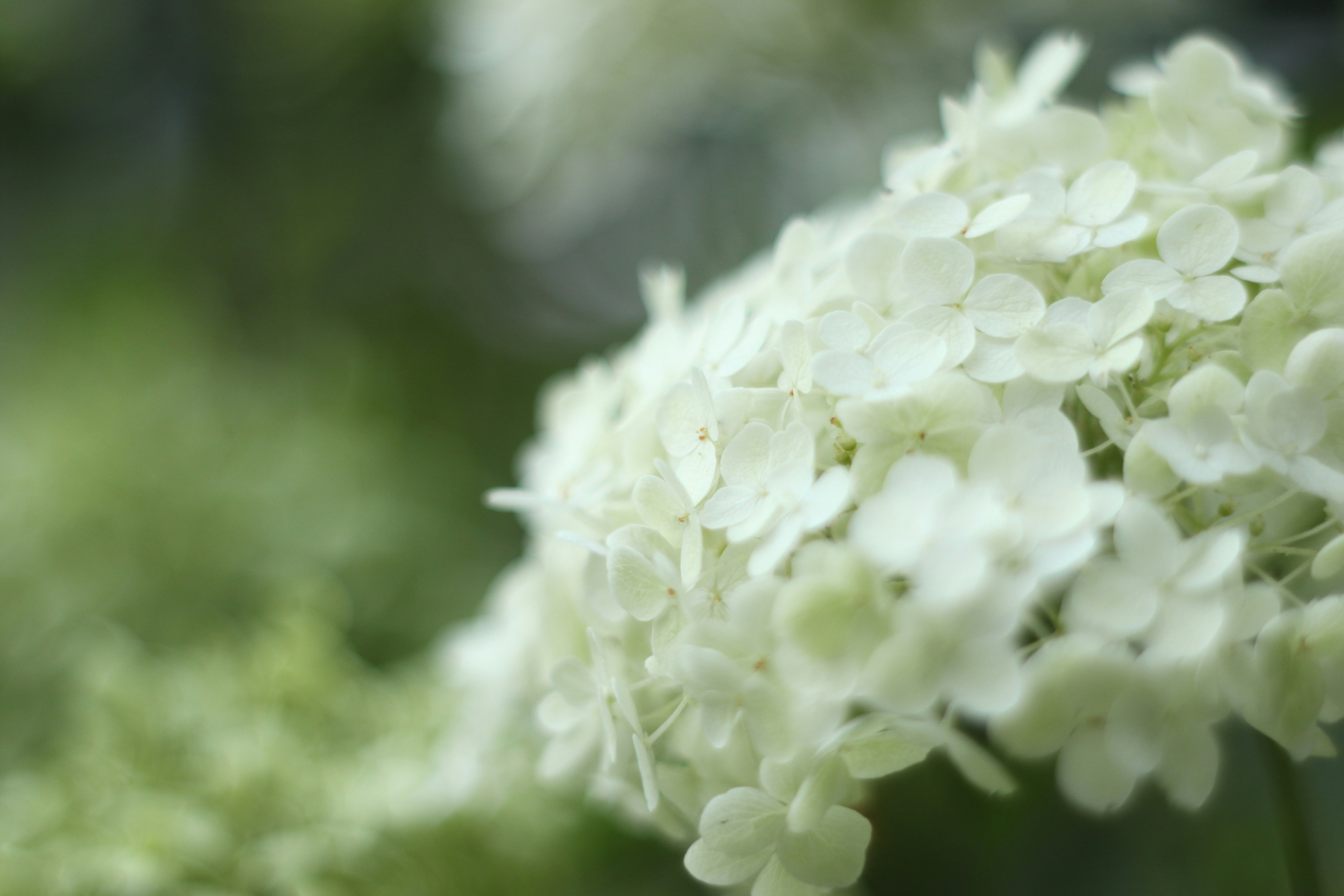 Photo by takatsuchida