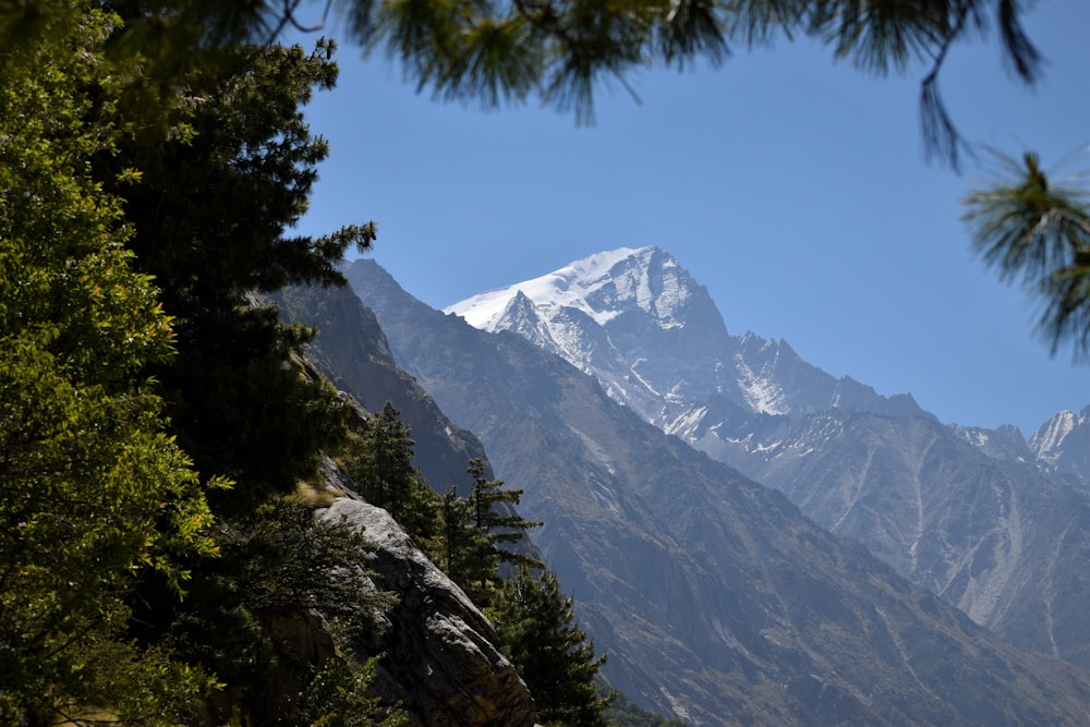 a view of a snow covered mountain through some trees