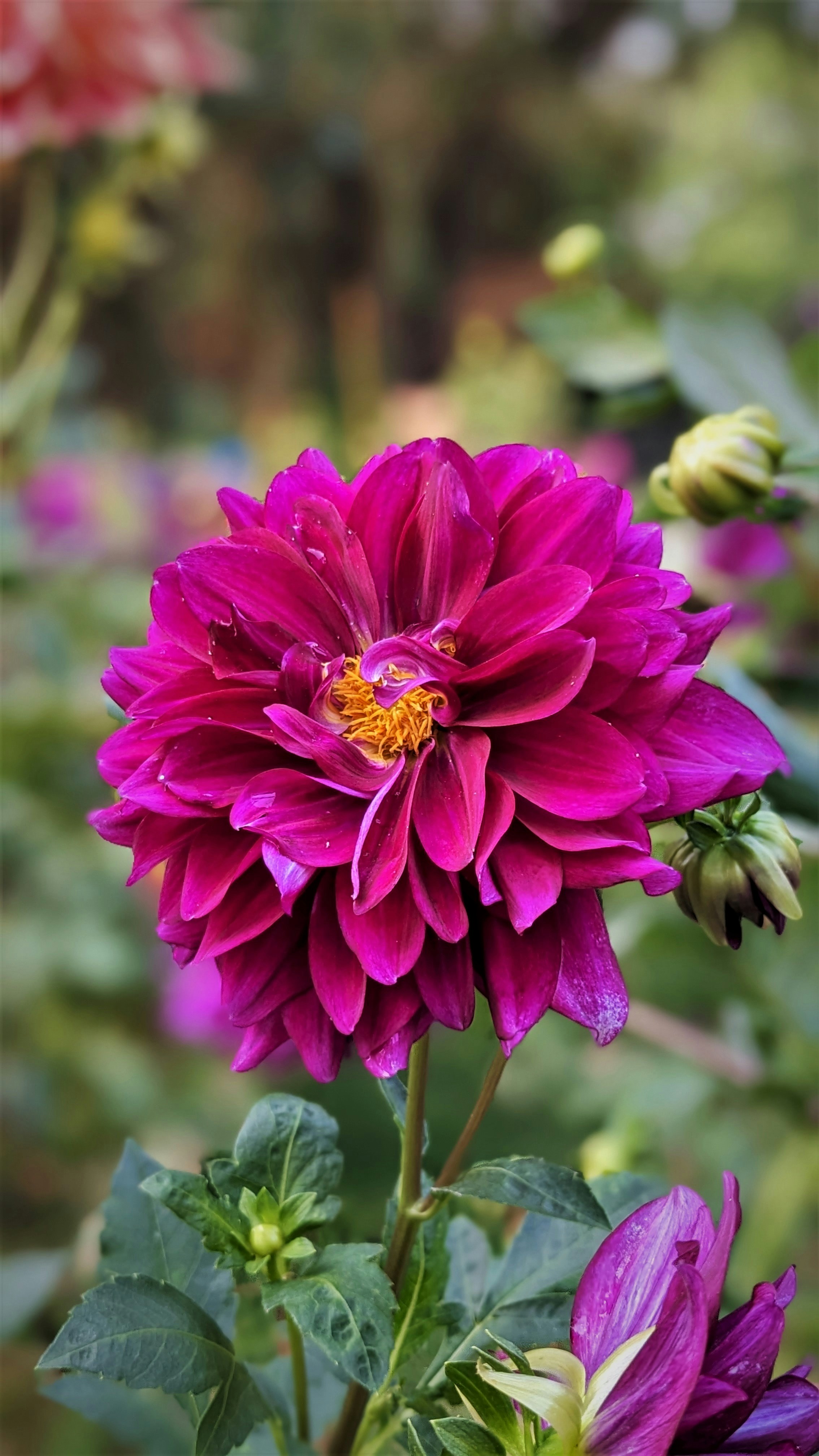 Photo by rishu_bhosale