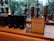 A modern café counter featuring a display of coffee-making equipment and containers. There are several tall, transparent glass apparatuses with copper spiral tubes, and black containers with star logos. A standing sign and a small promotional card introduce a new product called Oleato. Large windows in the background offer a view of green trees outside.