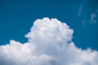 A large, fluffy cumulus cloud fills the foreground, contrasting sharply with a clear, vibrant blue sky in the background. The cloud appears soft and voluminous, with its bright white color enhanced by sunlight.