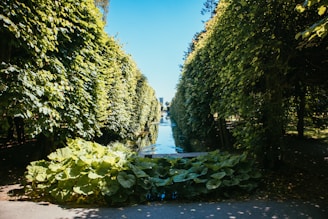 A serene, beautifully designed garden in the Hamptons featuring lush greenery and elegant stone pathways.