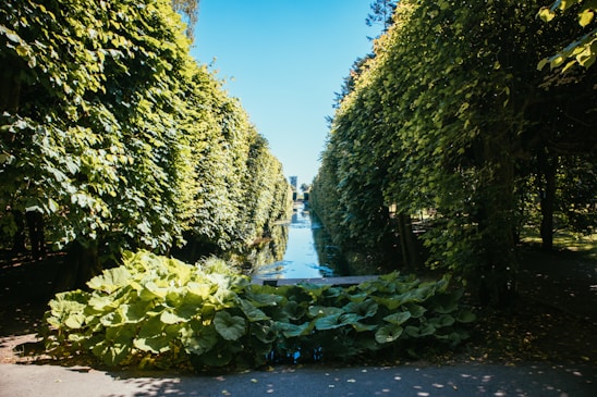 A serene, beautifully designed garden in the Hamptons featuring lush greenery and elegant stone pathways.