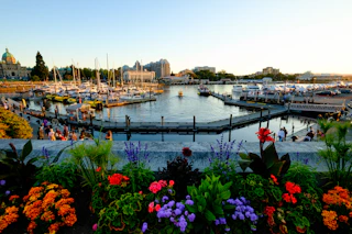 a harbor filled with lots of boats and lots of flowers