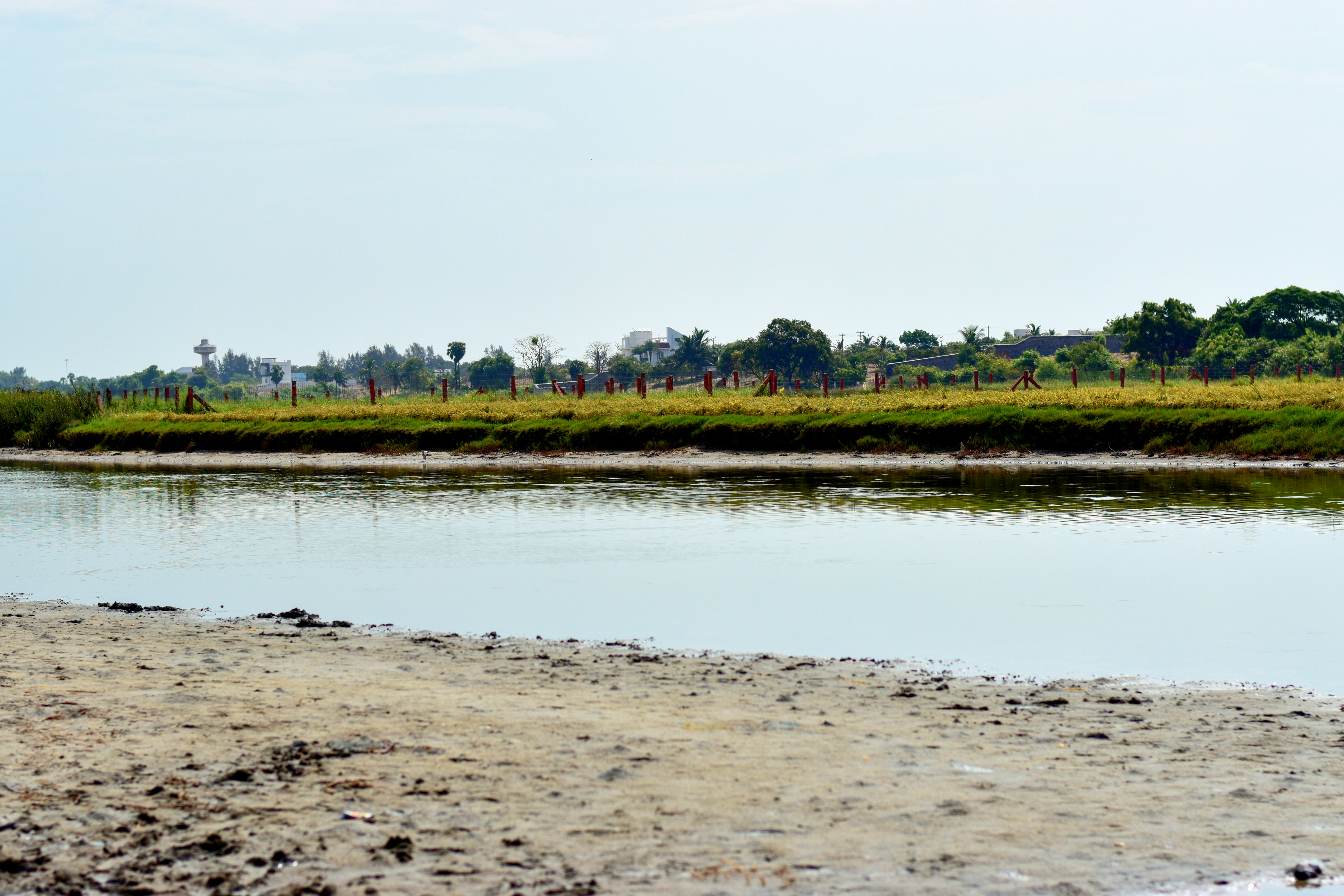 Photo by mohamed_adil_tvl