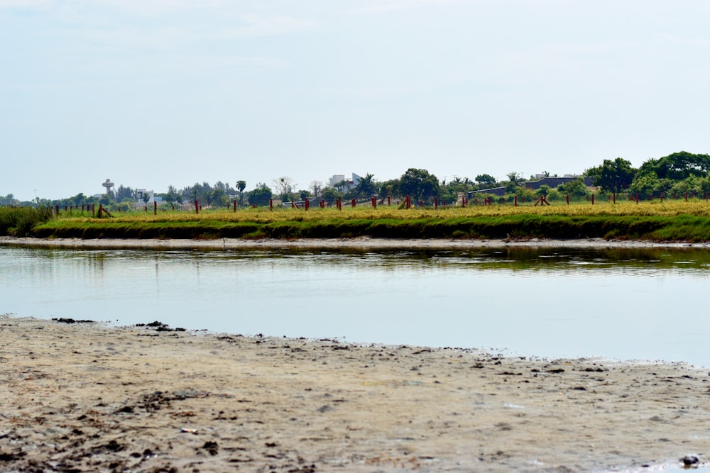 a body of water near a grassy area