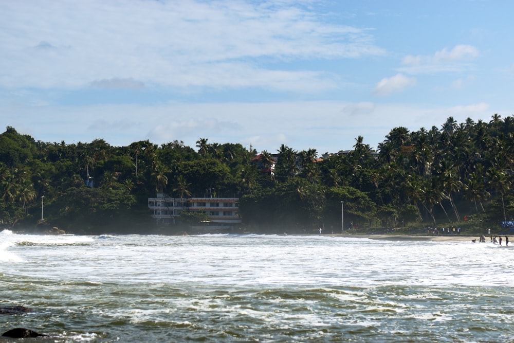 a large body of water surrounded by trees