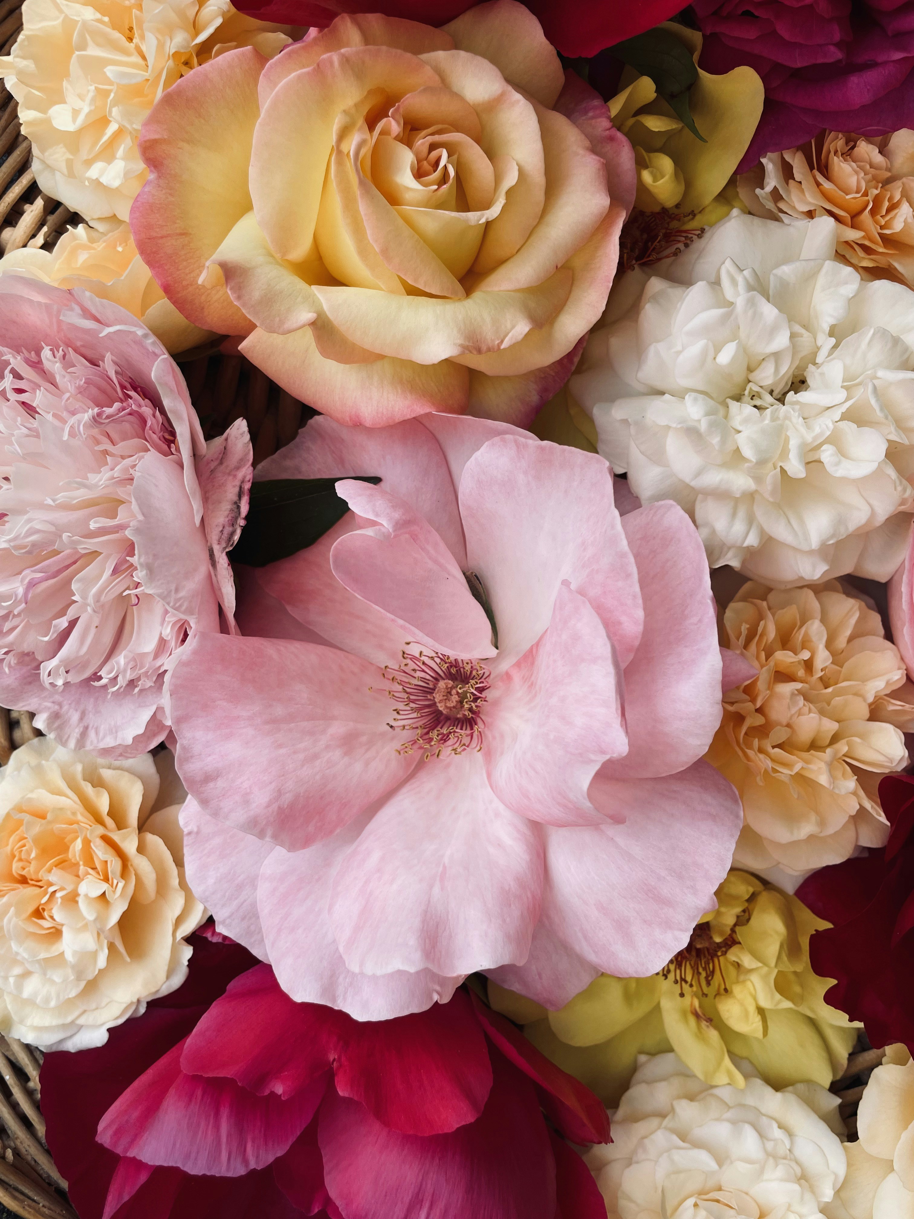 Photo by joellewehkamp