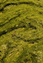 Close-up of thick algae layers being removed from a yacht's underwater surface by a professional diver.