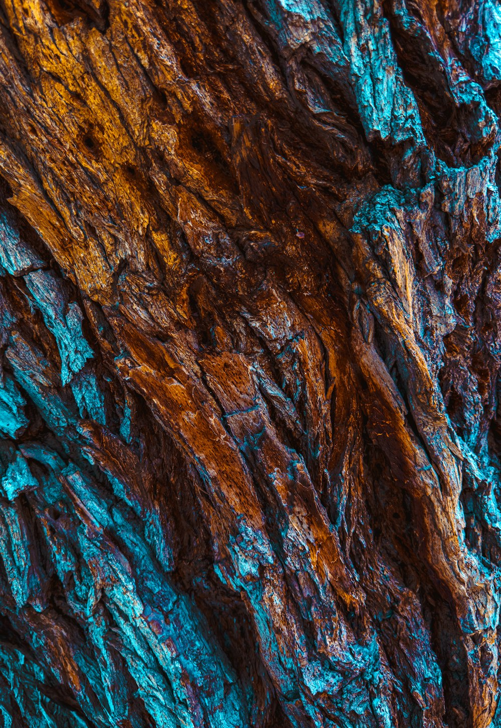 a close up of the bark of a tree