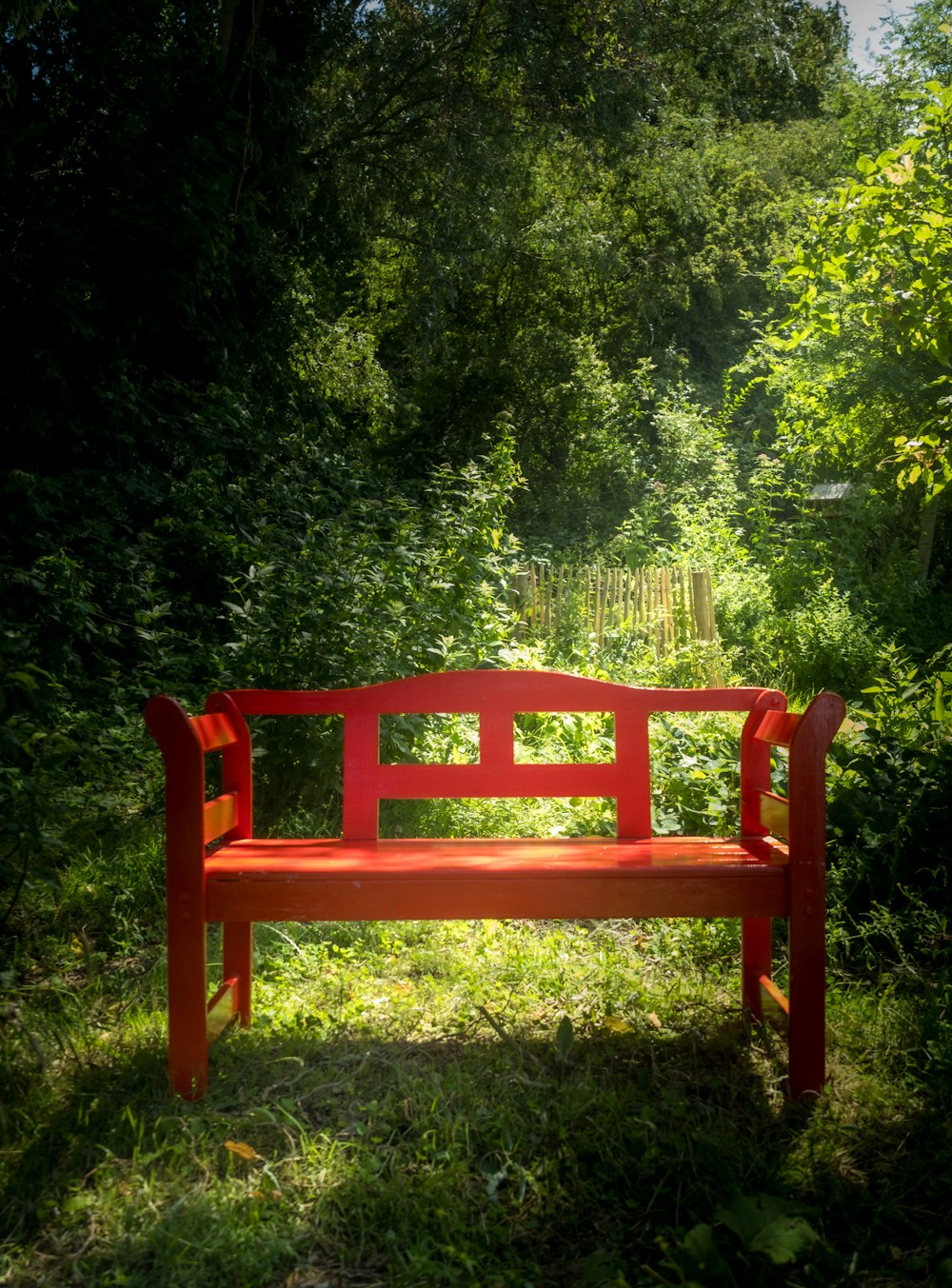 a red bench sitting in the middle of a forest