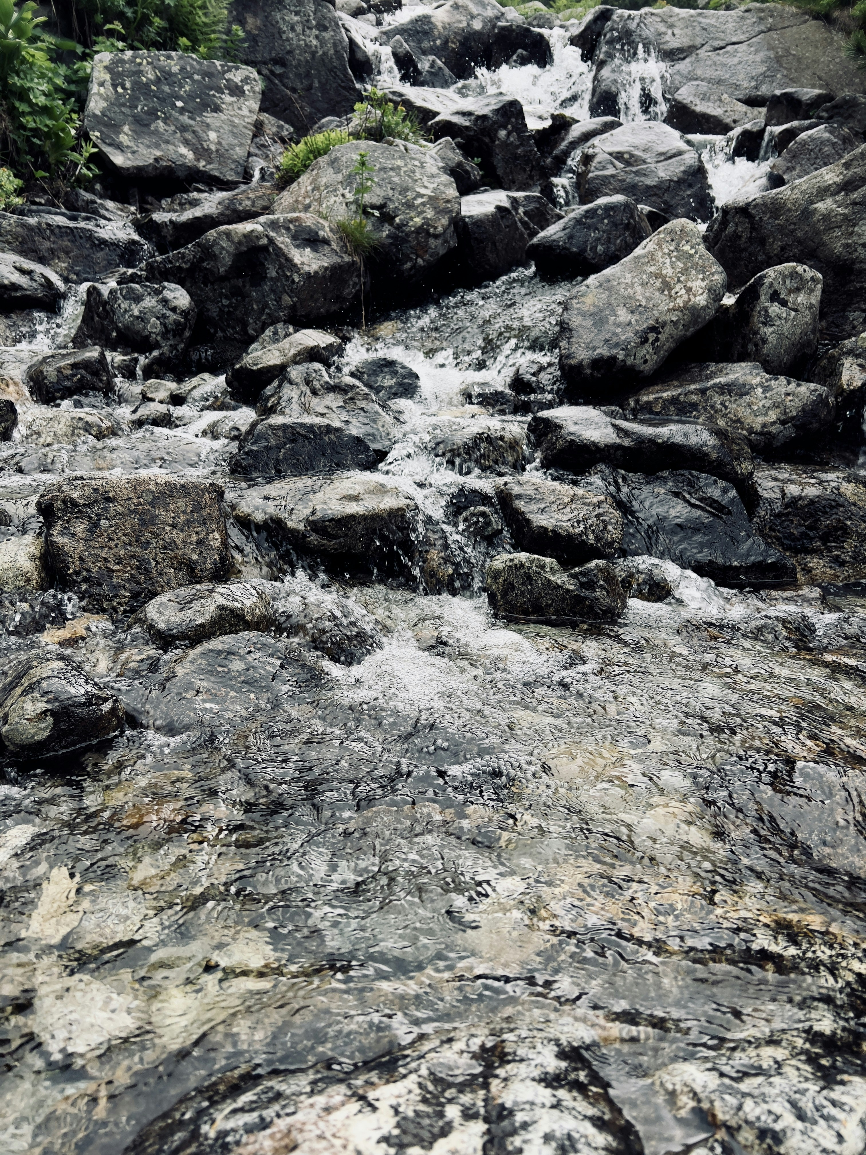 Photo by csontosgeri