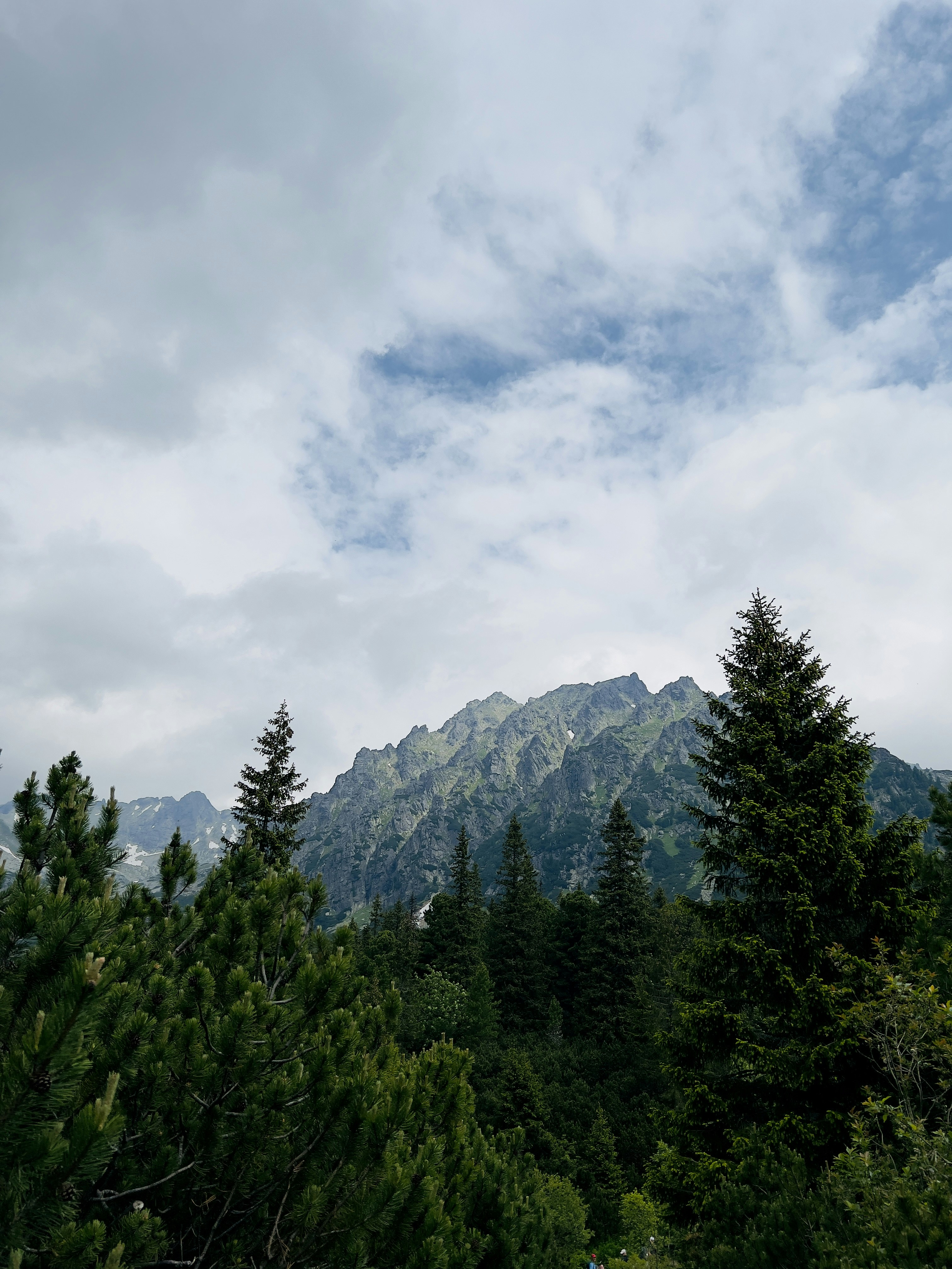 Photo by csontosgeri