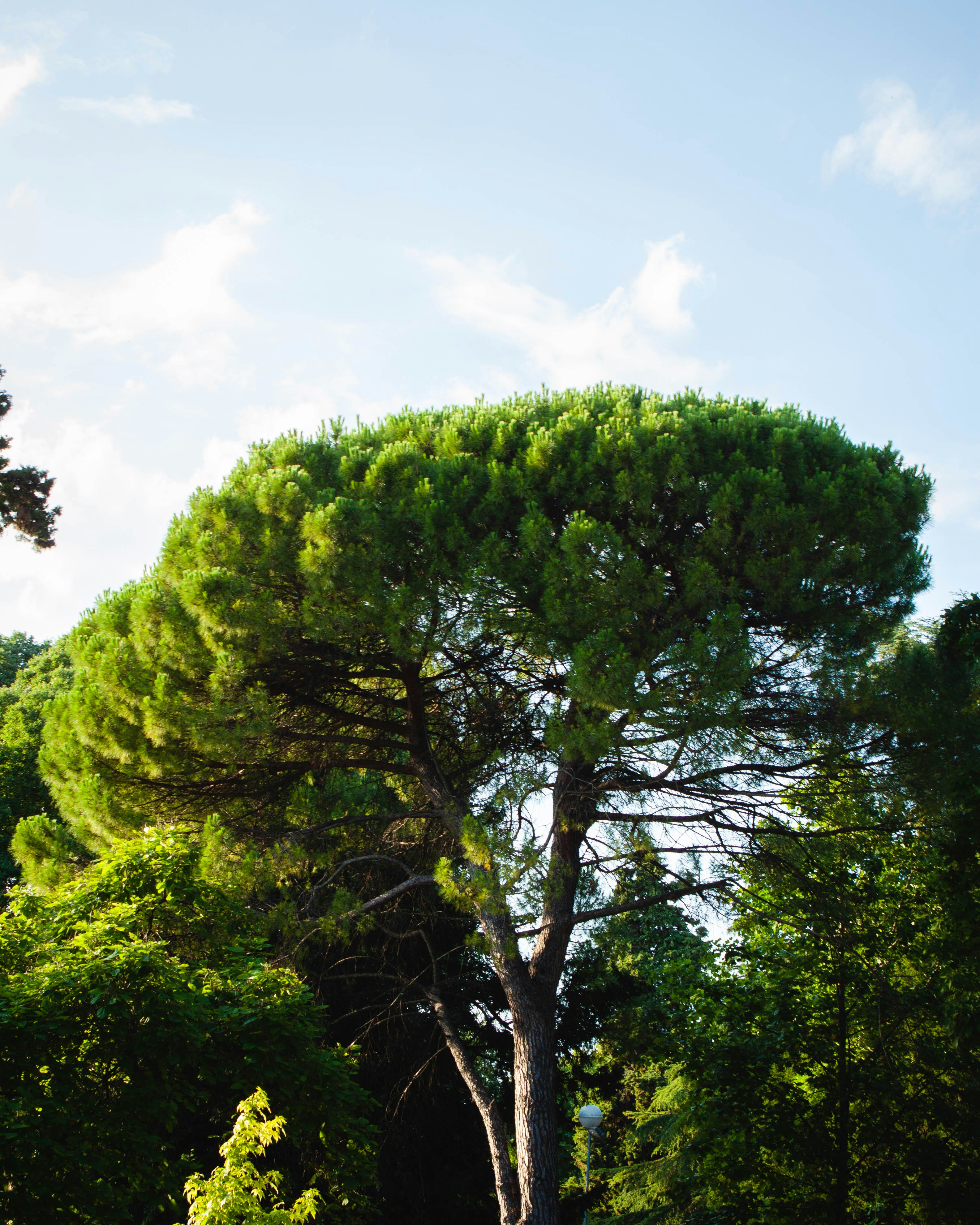 Photo by puskas_dominik