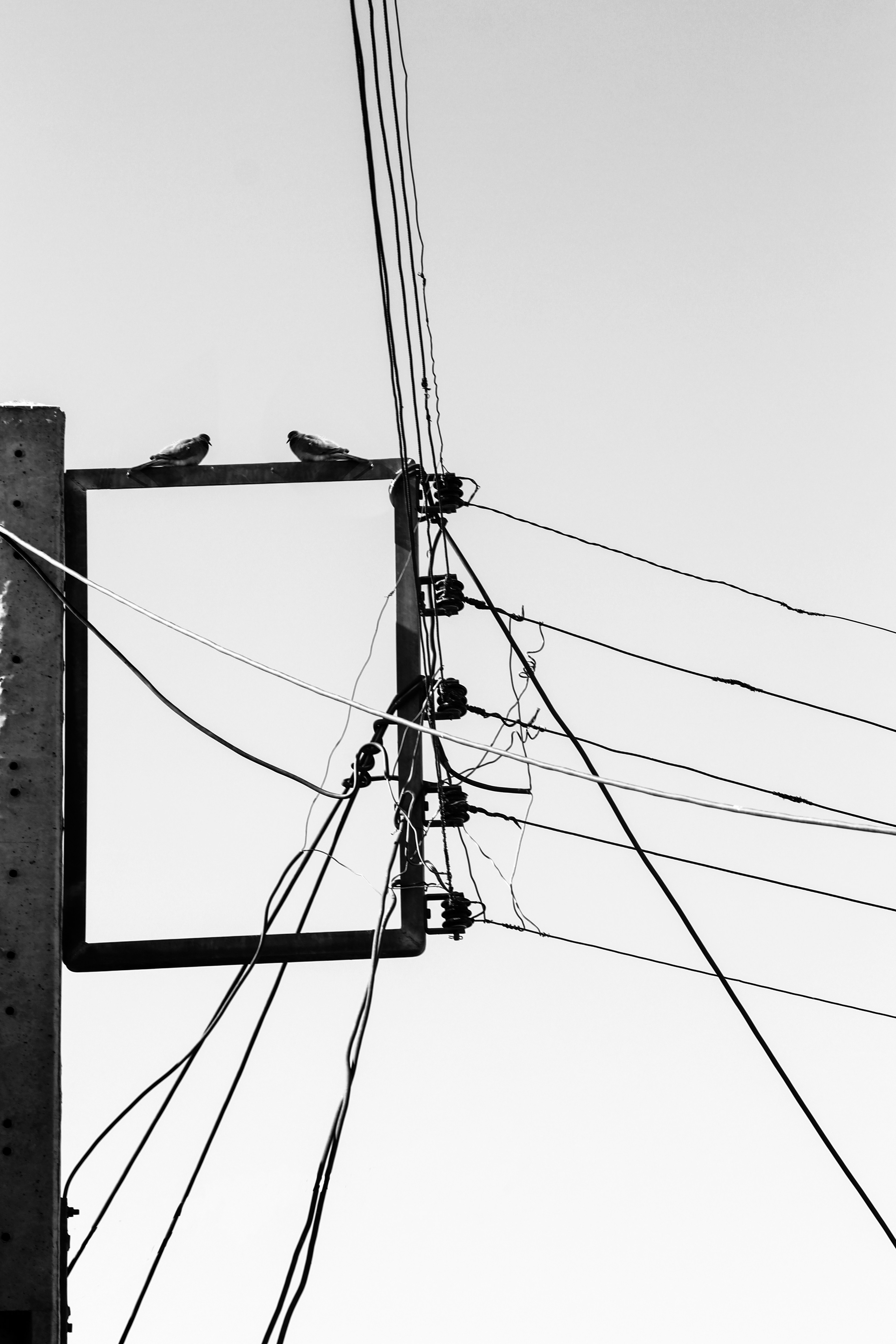 Photo by shima_abedin93