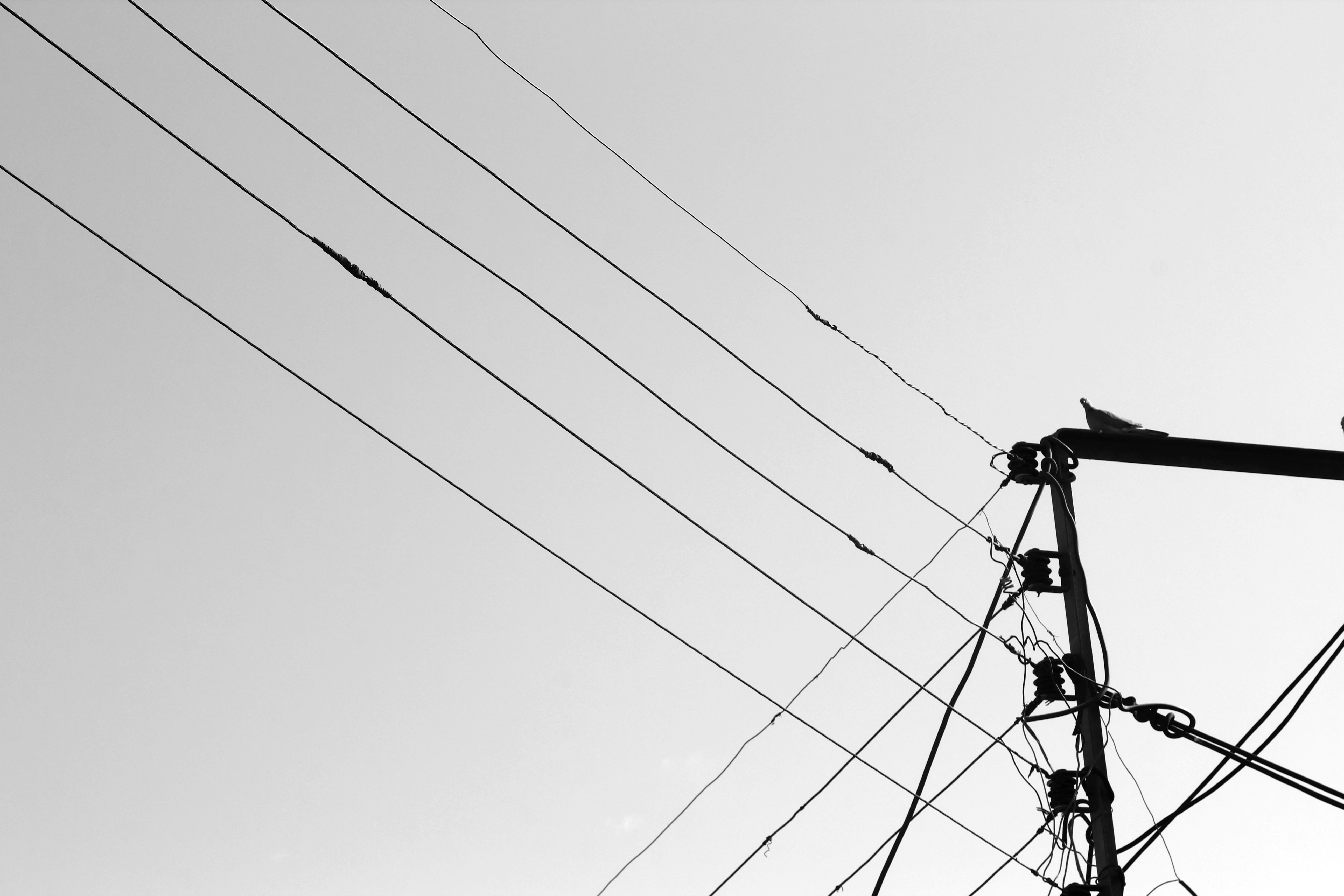 Photo by shima_abedin93