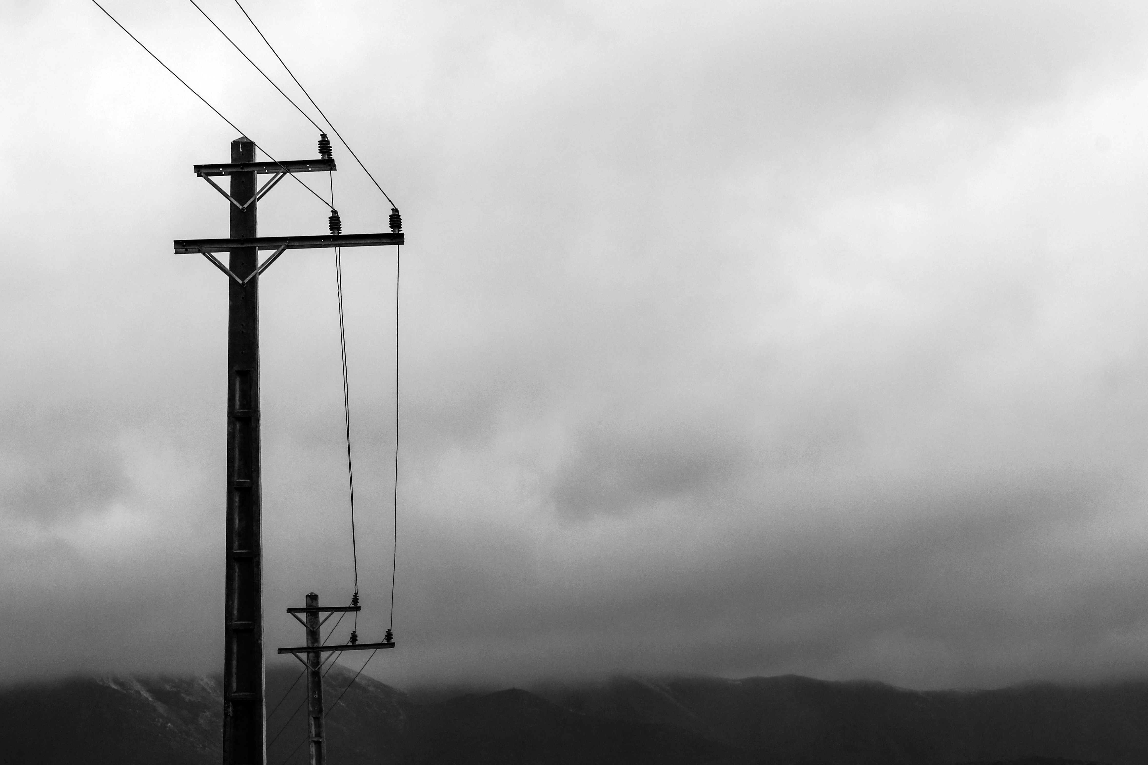 Photo by shima_abedin93