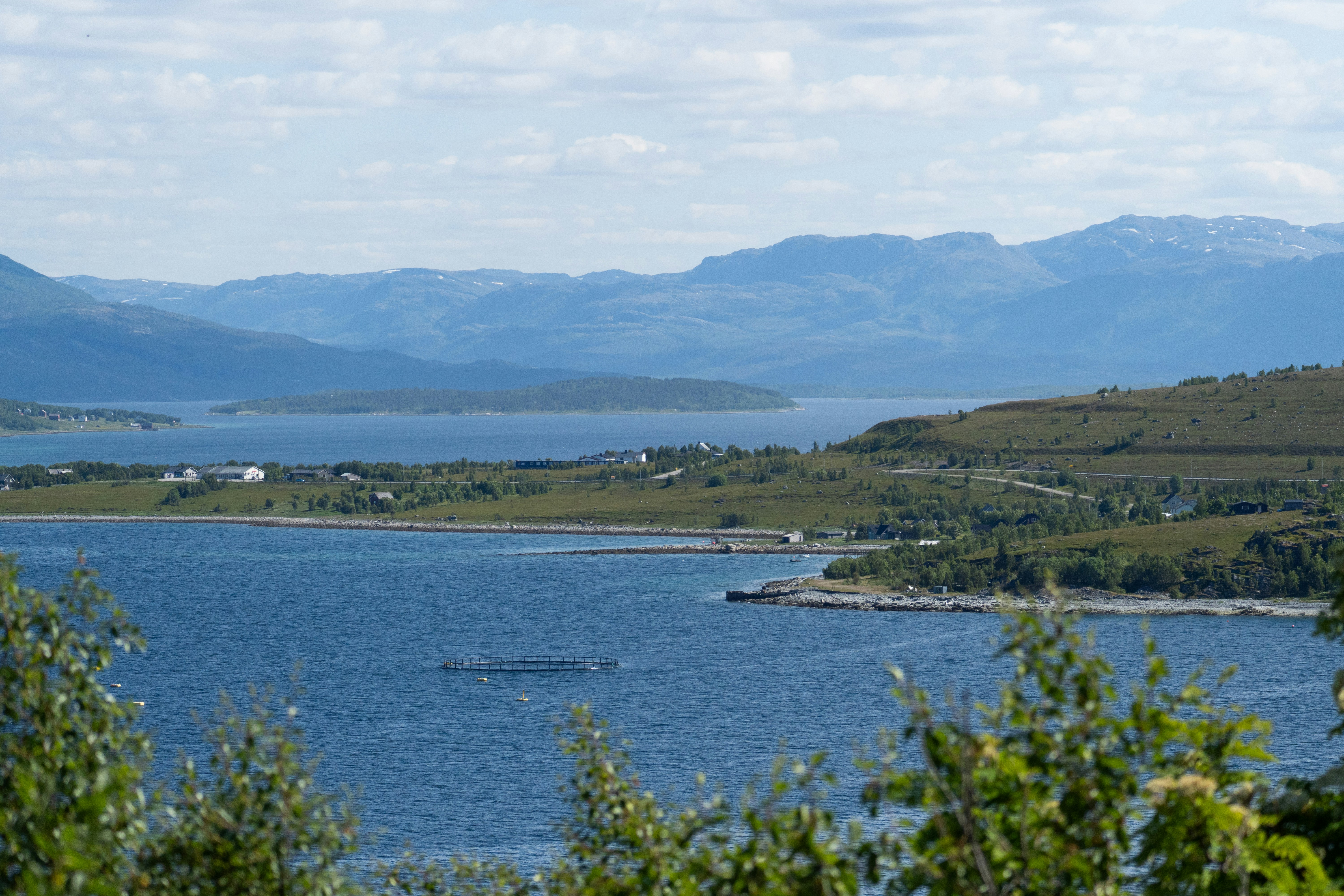 Photo by aurorabitzi