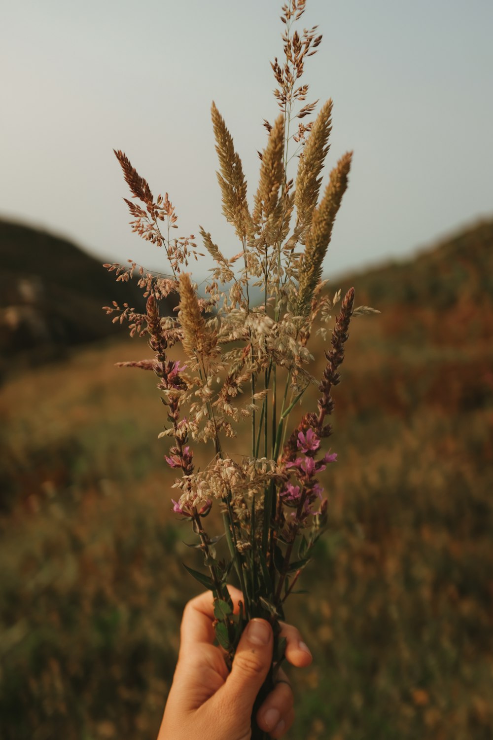 a person holding a bunch of flowers in their hand