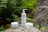 Three white cosmetic containers, including a pump bottle, are placed on a rock surrounded by lush green ferns and other natural foliage.