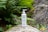 A bottle of skincare gel by Plantea is placed outdoors on a mossy rock. Surrounding the bottle, there are lush green ferns and small plants, contributing to a natural and organic aesthetic. The setting includes additional rocks, enhancing the earthy environment.